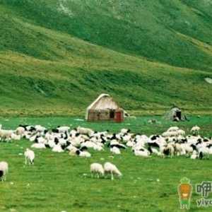 没到过圣彼得堡就不算真正去过俄罗斯