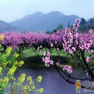 春季踏青要注意什么事项