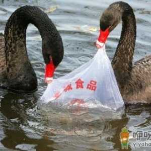 乱扔塑料袋对环境有什么危害