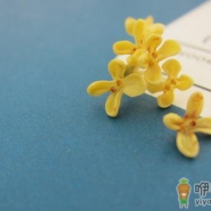 桂花的品种有哪些？