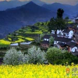与春天来约会：婺源归来不看村