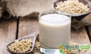 不带煮的榨汁机怎么榨豆浆