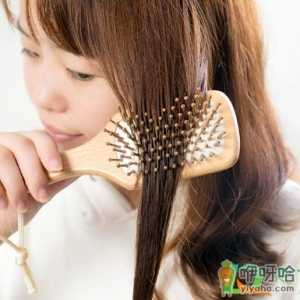 气囊梳什么材质的好