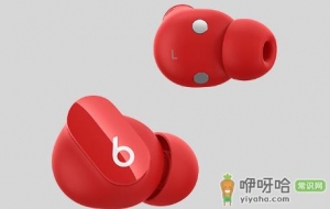 beats studio buds有空间音频吗