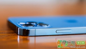 iphone12和12pro显示屏一样吗