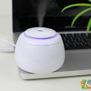 ​加湿器先加水还是先插电