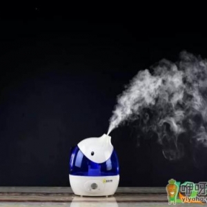 ​加湿器第一次使用为什么要静置半小时