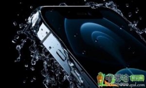 iphone防水为什么还会进水