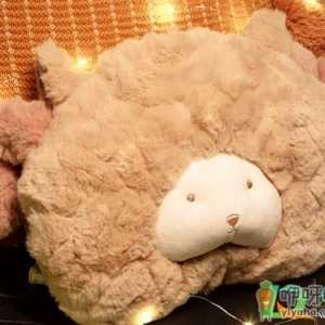 暖手宝可以放在被子里吗
