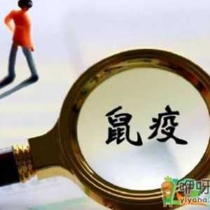 2020内蒙古鼠疫是真的吗