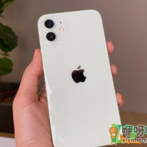 iphone外屏碎了多少钱