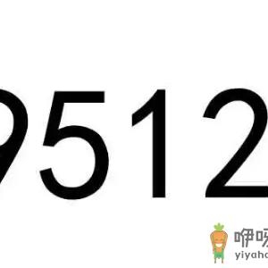 95121是什么电话