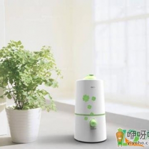 加湿器的水需要天天换吗