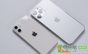 iphone 13什么时候发售