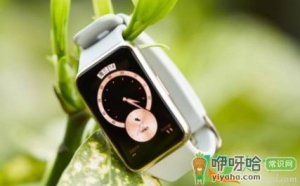 watch fit雅致款和活力款买哪个