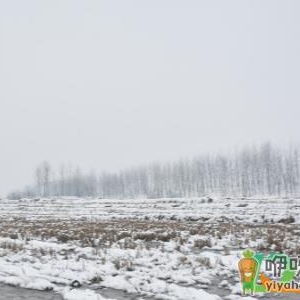 2020至2021年有雪灾是真的吗
