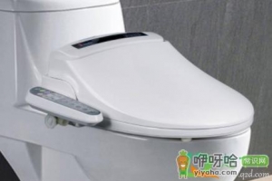 怎样拆马桶盖的阻尼器