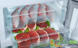 冰箱冷冻层会有细菌吗