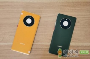 华为mate40和华为p50哪个更值得买