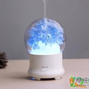 加湿器要边充电边加湿吗