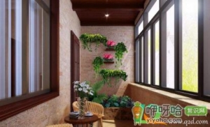 新房装好了放什么草花最好