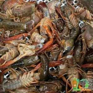 洗碗机洗小龙虾干净吗