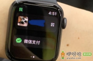 applewatch可不可以微信支付2021