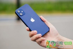 2021年暑假苹果12会降价多少