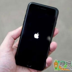 iphone13加指纹解锁吗