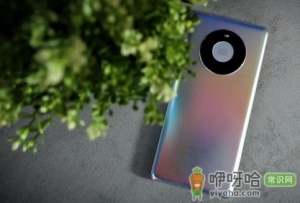 华为mate50是麒麟芯片吗