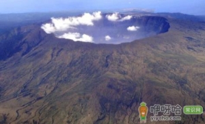 网传汤加火山爆发致扇贝涌入獐子岛真的假的