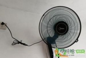 电风扇转的声音很大怎么办
