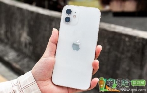 iPhone12绿屏能退货吗