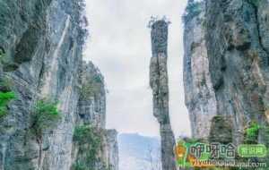 抖音98元机票盲盒是真的吗