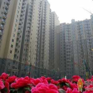 广东省江门地区公租房的申请条件