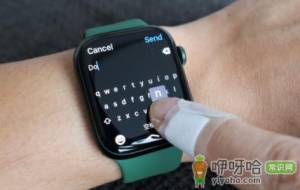 magsafe充电器applewatch7能用吗