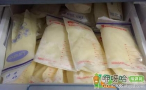母乳存放袋什么材质好