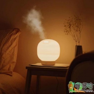 用加湿器后为什么家具上出现白霜
