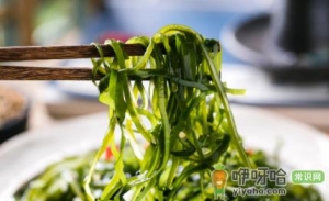 甲醛泡过的海带是什么样子的