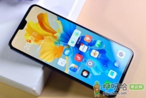 vivos10的应用分身在哪