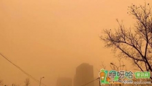 沙尘暴起源于中国真的假的