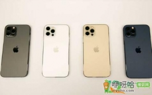iphone12暖色屏可以退吗