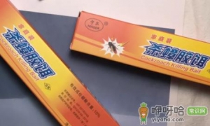 蟑螂胶饵会不会引来更多