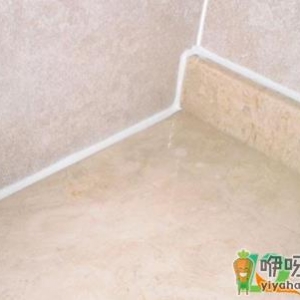 玻璃胶有防霉不变黑的吗