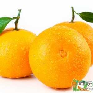 果冻橙吃了致癌真的假的