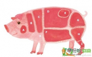 瘦肉精的猪肉怎么判断