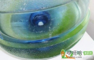 水桶里面的绿色的怎么处理