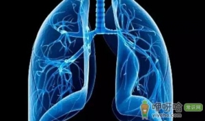 肺结节10个人9个人有吗真的吗
