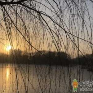 躲春可不可信