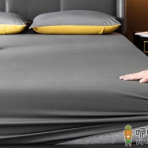 床单上的黑点是被压死的虫子吗